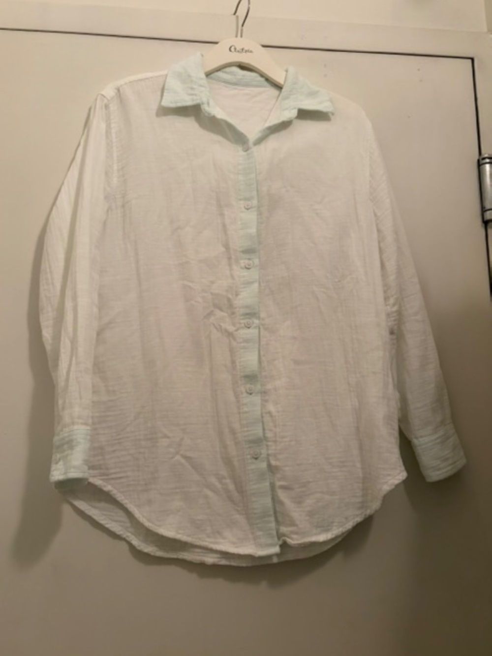 Aritzia Airplush Button Down Shirt